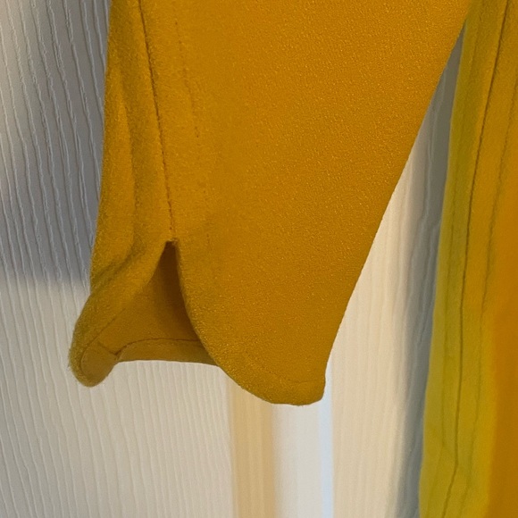 Zara shift dress. Size: M (never worn with tags). Well made. Beautiful color. - Picture 3 of 5